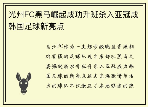光州FC黑马崛起成功升班杀入亚冠成韩国足球新亮点